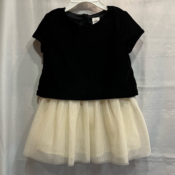 Baby Gap Special Occasion Dress Velvet Bodice with Tulle Skirt Size 2 Toddler - Picture 1 of 8